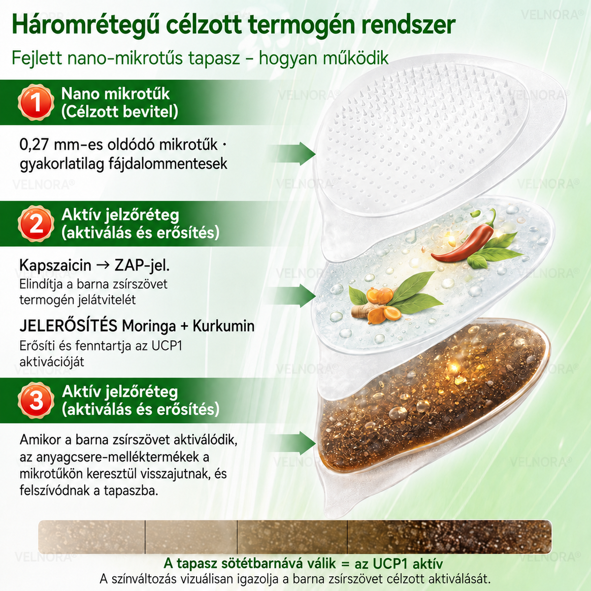 🎉🎁 Hivatalos áruház | 𝐕𝐄𝐋𝐍𝐎𝐑𝐀® Moringa & Berberin 10 az 1-ben fejlett nano-mikrotűs tapasz (naponta csak egyszer, már 7 nap alatt látható változások)